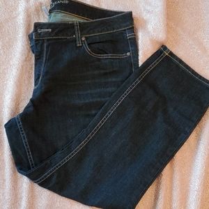 Arizona Darkwash Skinny Jeans